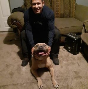 Meet your Posher, Manuel